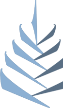 Bluepine Software